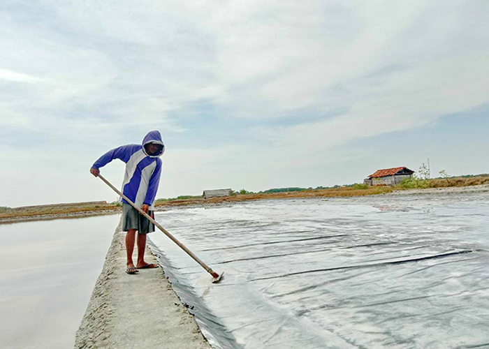PRODUKSI: Seorang petani garam di Desa Pagagan, Kecamatan Pademawu, membersihkan sisa-sisa garam di tambaknya, Minggu (11/6). (LAILIYATUN NURIYAH/Radarmadura)