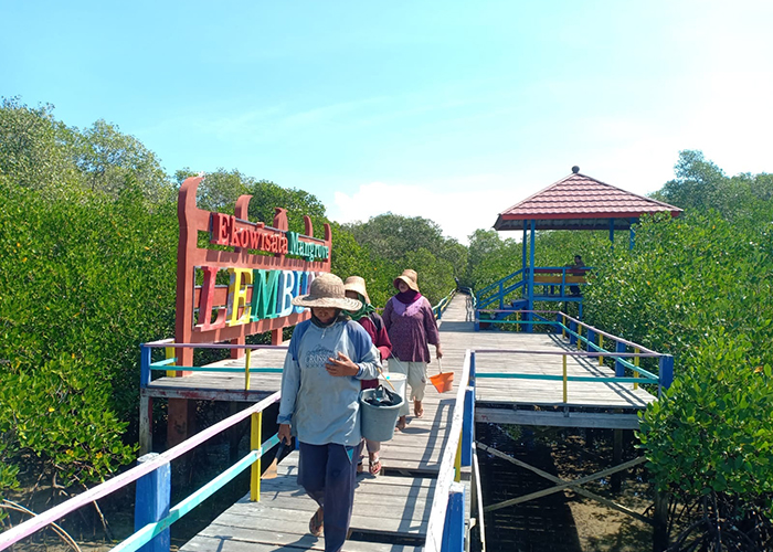 TERIK: Warga berjalan di sekitar Ekowisata Mangrove Lembung.&nbsp;