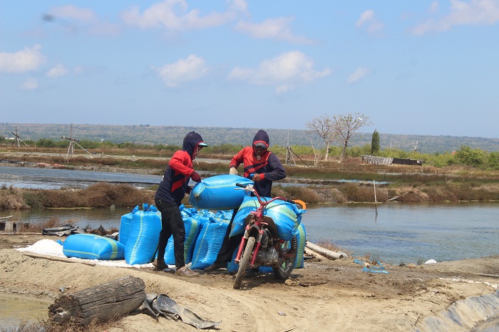 HASIL PANEN: Pekerja memindahkan garam ke kendaraan untuk diangkut di Desa Pinggirpapas, Kecamatan Kalianget, Sumenep, Kamis (3/8). (MOH. BUSRI/JPRM)
