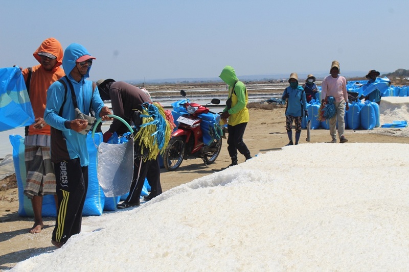 SEMRINGAH: Petani saat panen garam di lahan milik PT Garam (Persero) Desa Nambakor, Kecamatan Saronggi, Sumenep, Minggu (1/10). (HERIVIYA YUVI/JPRM)