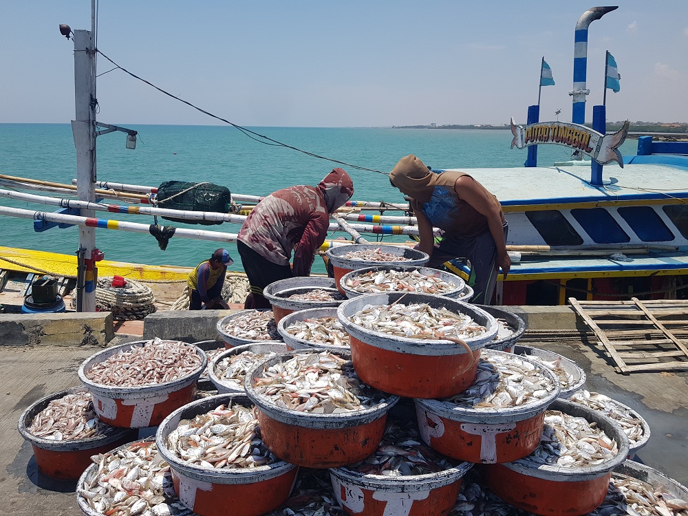 HASIL: Nelayan memilah hasil tangkapan ikannya di Desa Branta Pesisir, Kecamatan Tlanakan, Rabu (25/10). (LAILIYATUN NURIYAH/JPRM)  &nbsp;
