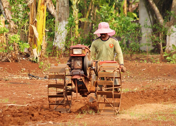 SEMANGAT: Petani membajak sawah di Desa Keleyan, Kecamatan Socah, Bangkalan. (VIVIN AGUSTIN HARTONO/JPRM)