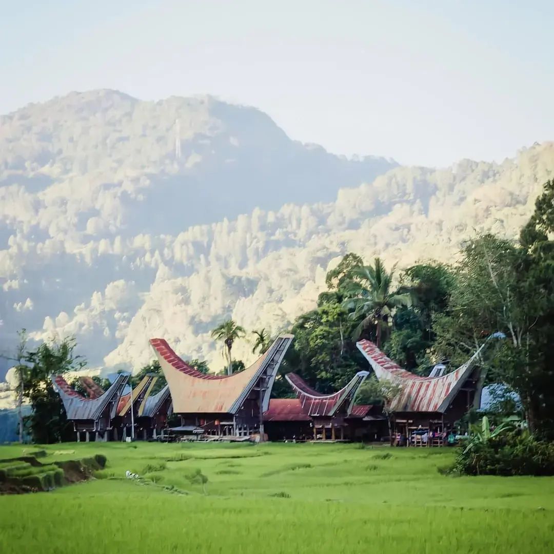 Tongkonan, rumah adat Toraja, berdiri di tengah sawah hijau dan pegunungan indah (@TORAJATRIPADVENTURE UNTUK RADARMADURA.ID)
