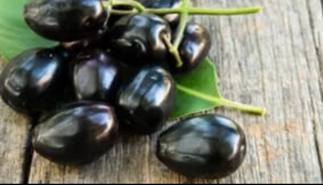 BANYAK KHASIAT: Buah Jamblang atau di Madura dikenal dengan dhuw&acirc;