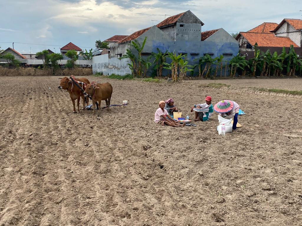 ISTIRAHAT: Petani istirahat di sela membajak sawah persiapan menanam jagung di Kelurahan Karang Dalem, Sampang, Kamis (30/11). (ANIS BILLAH/JPRM)