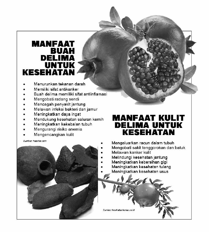 Grafis Manfaat buah dan kulit delima. (DINA/JPRM)