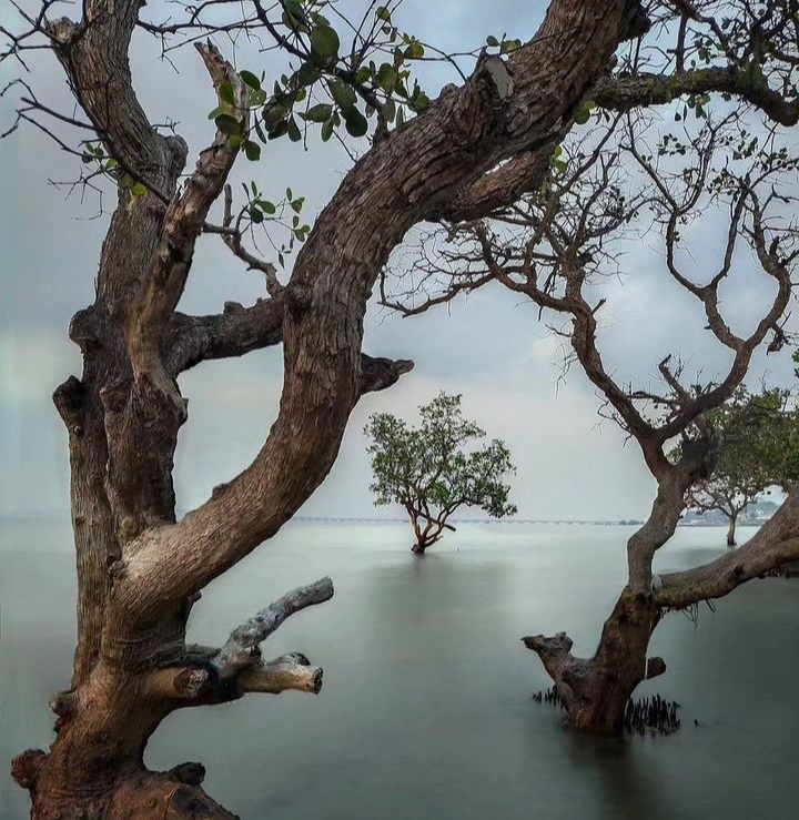 Pantai Gua Petapa, tempat bertapa yang kini menjadi tempat wisata. (@exploremadura untuk RadarMadura.id)