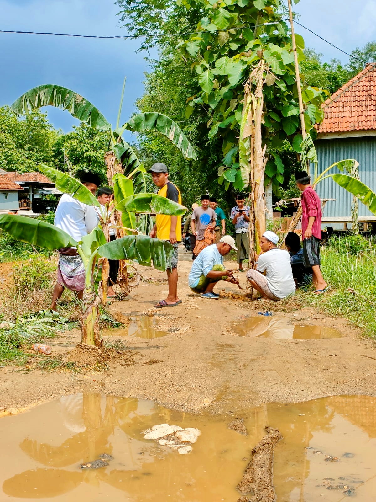 PROTES: Warga menanam pohon pisang di ruas kabupaten yang menghubungkan Desa Pesanggar dan Desa Ambender, Kecamatan Pegantenan, Pamekasan, Sabtu (9/12). (MOHAMMAD SUHUD UNTUK JPRM)