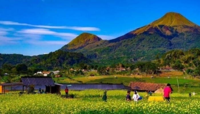Suasana Desa Wisata Kampung Organik Brenjonk