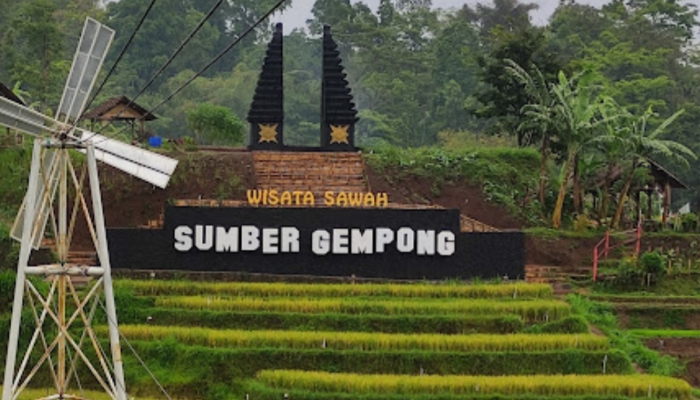 Suasana Wisata Sawah sumber Gempong