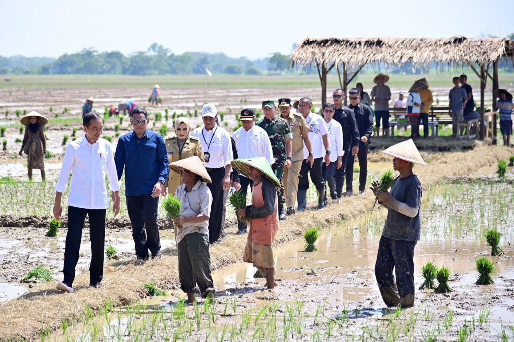 Presiden Jokowi meninjau penanaman padi dan menyerap aspirasi para petani di Kecamatan Kesesi, Kabupaten Pekalongan, Jawa Tengah.