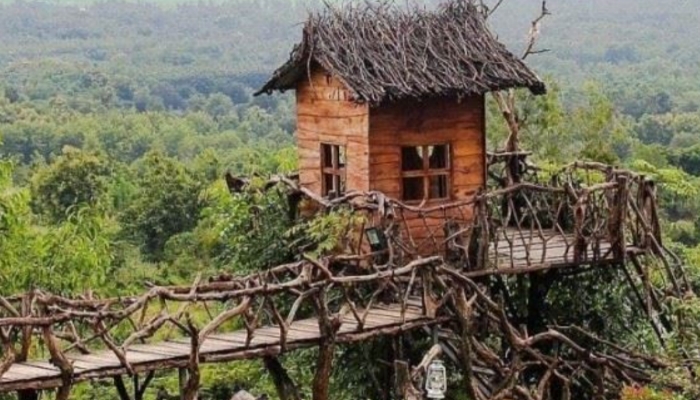 Potret pemandangan bukit tinggi.