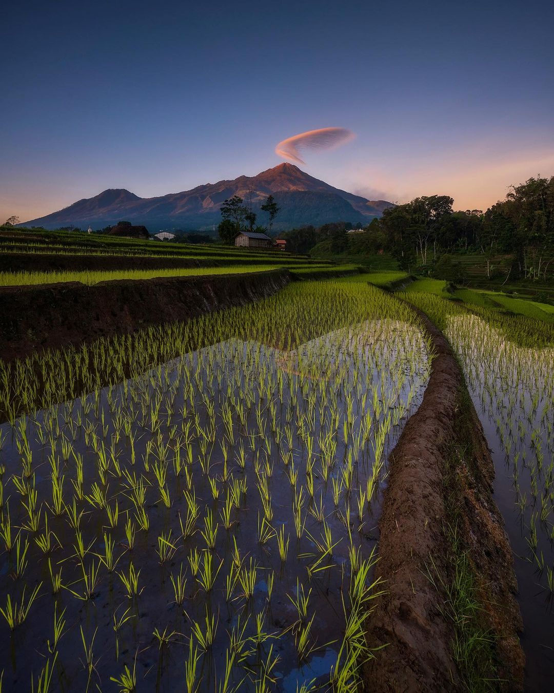 7 wisata alam selain alas veenuz