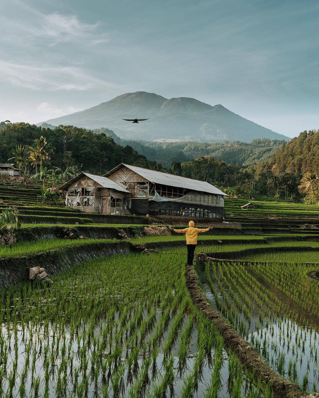 pesona keindahan Gunung Penanggungan, wisata alam khusus pendaki di Trawas