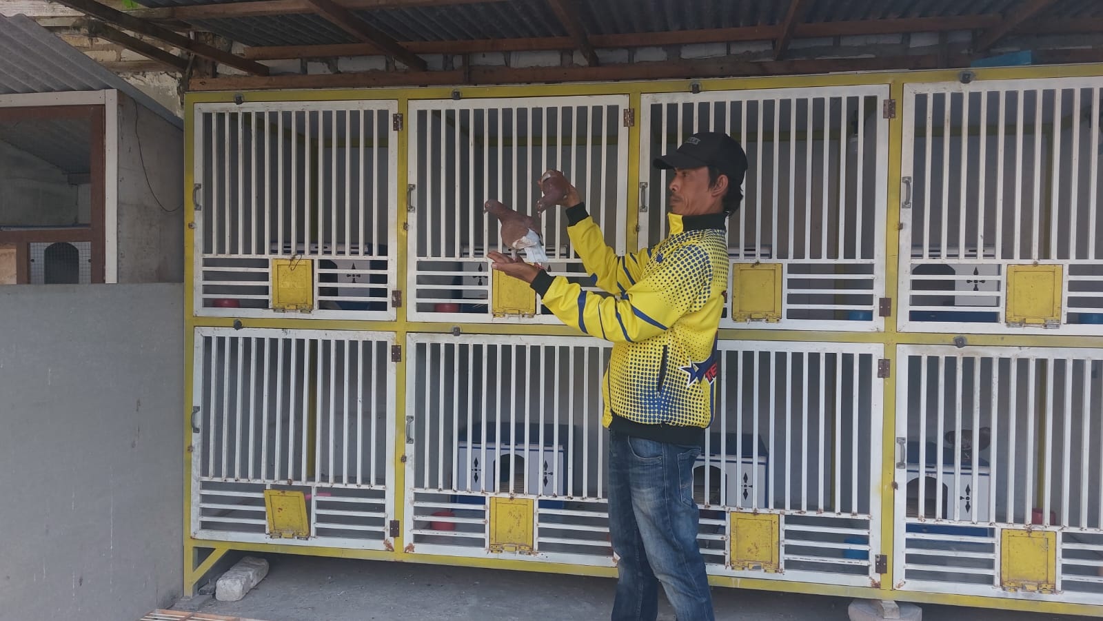 TELATEN: Abdus Salam merawat Bos Cilik di Kelurahan Karang Dalem, Kecamatan Kota Sampang, Selasa (19/12). (JUNAIDI PONDIYANTO/JPRM)