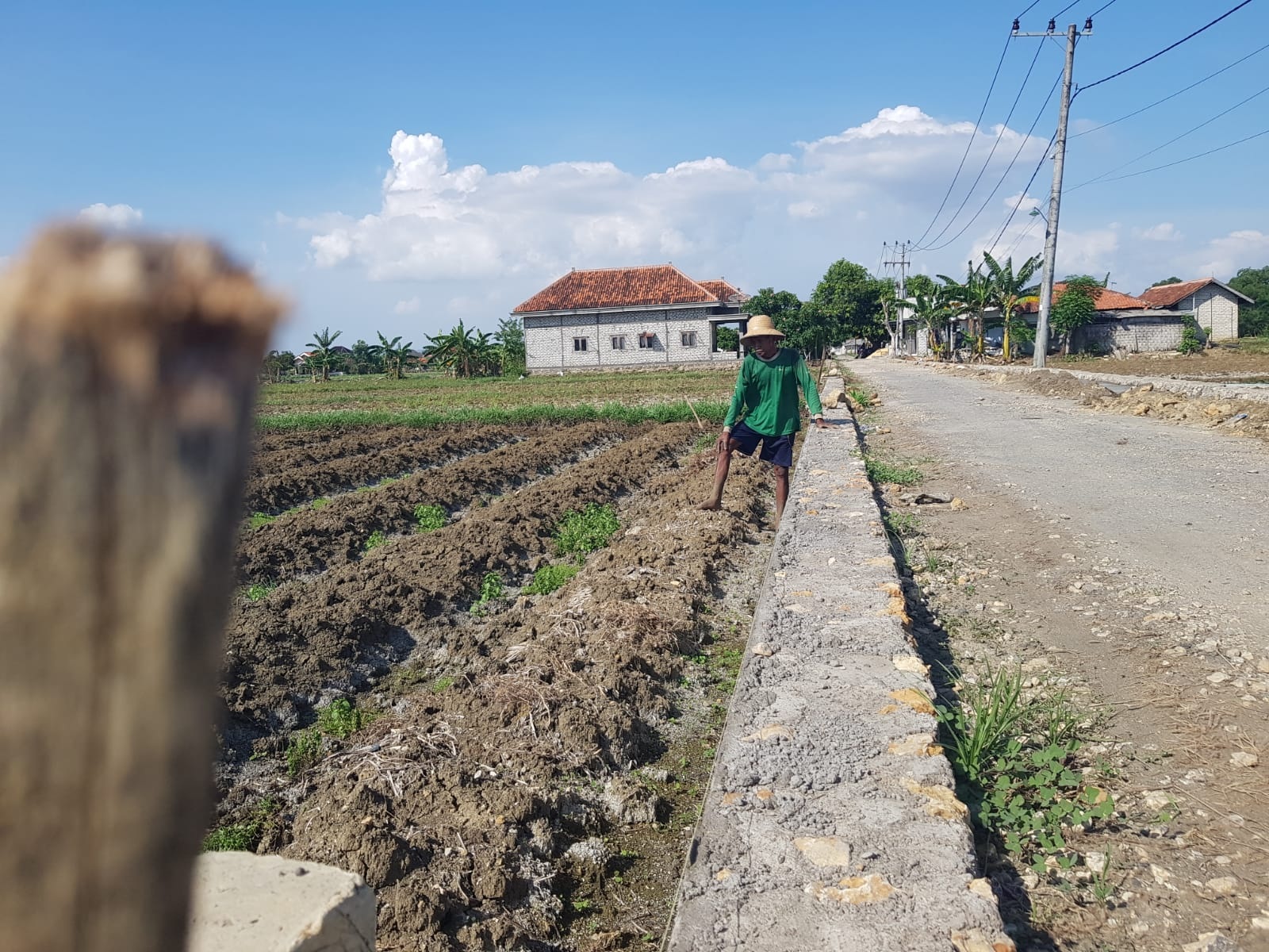 TANAM: Seorang petani menggarap lahan pertanian di Desa Lemper, Kecamatan Pademawu, Selasa (26/12). (LAILIYATUN NURIYAH/JPRM)