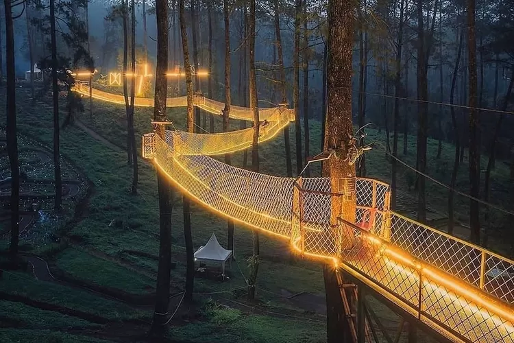 Orchid Forest Cikole Bandung salah satu destinasi wisata alam yang ada di Bandung