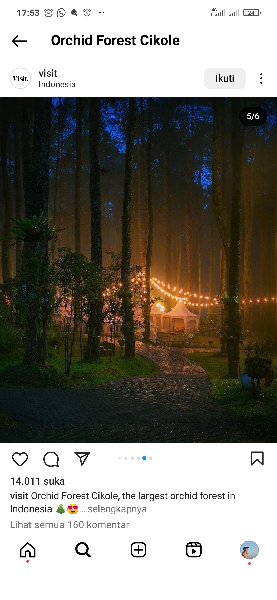 Potret indah Orchid Forest Cikole saat malam hari