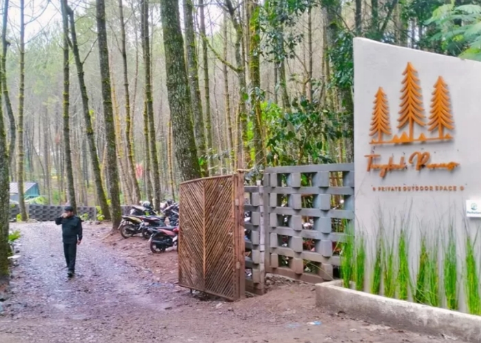 Salah satu pengunjung sedang berjalan di kawasan Tangkal Pinus