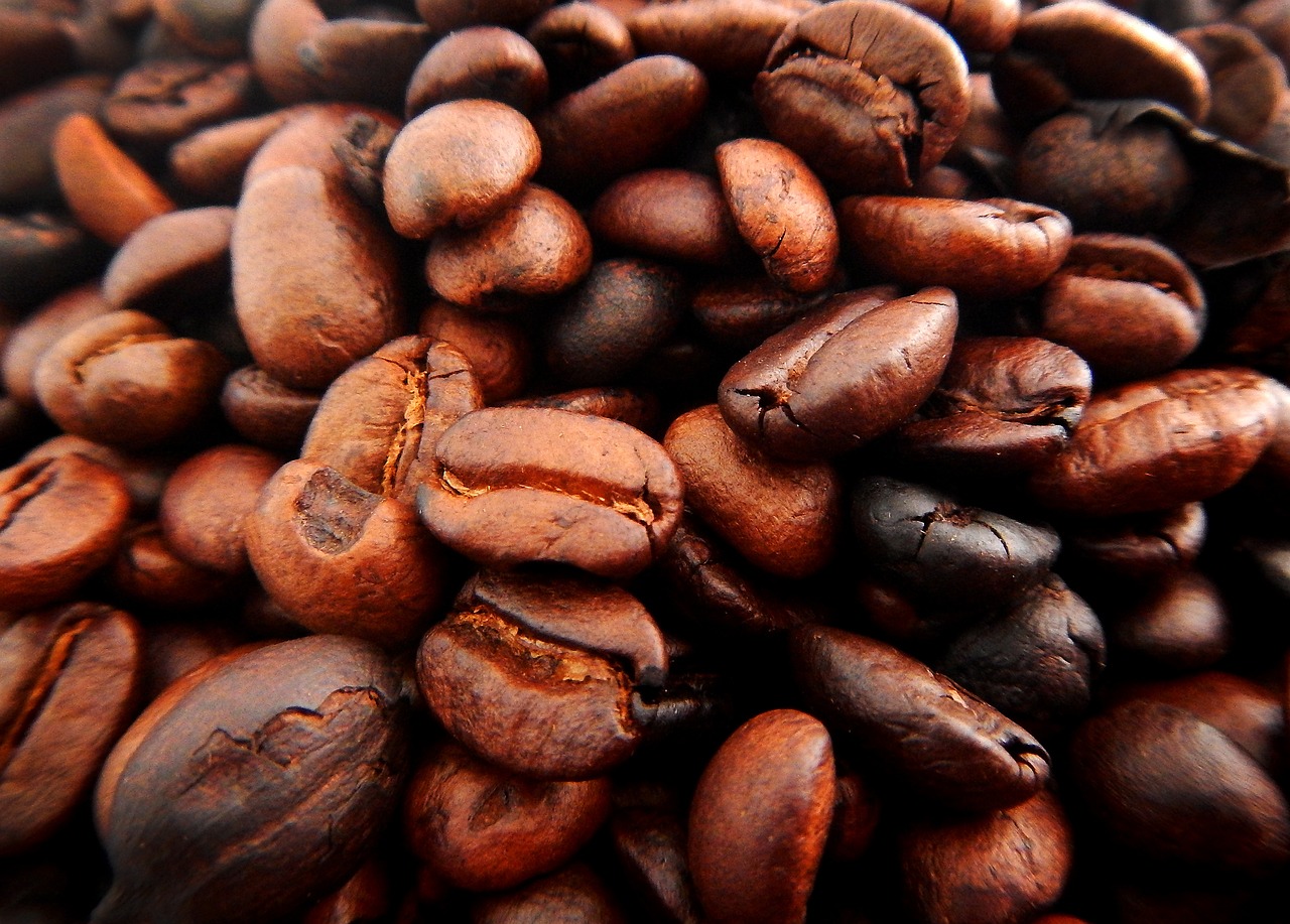 Kopi Mandailing sama terkenalnya dengan jenis Kopi lainnta di Indonesia