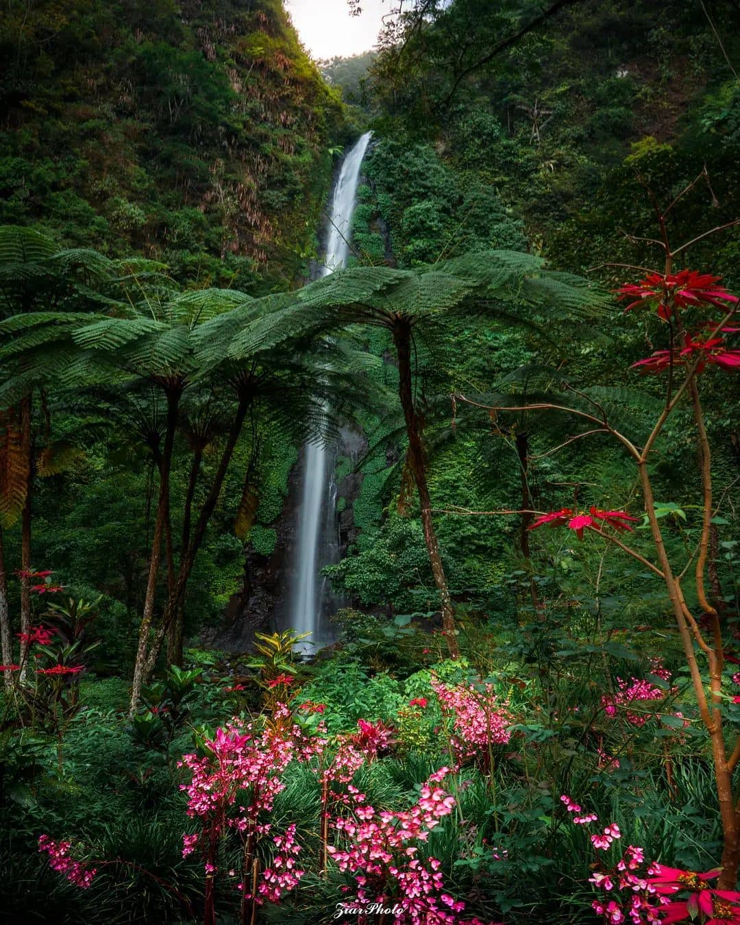 pesona surga tersebunyi air terjun tancak di Jember