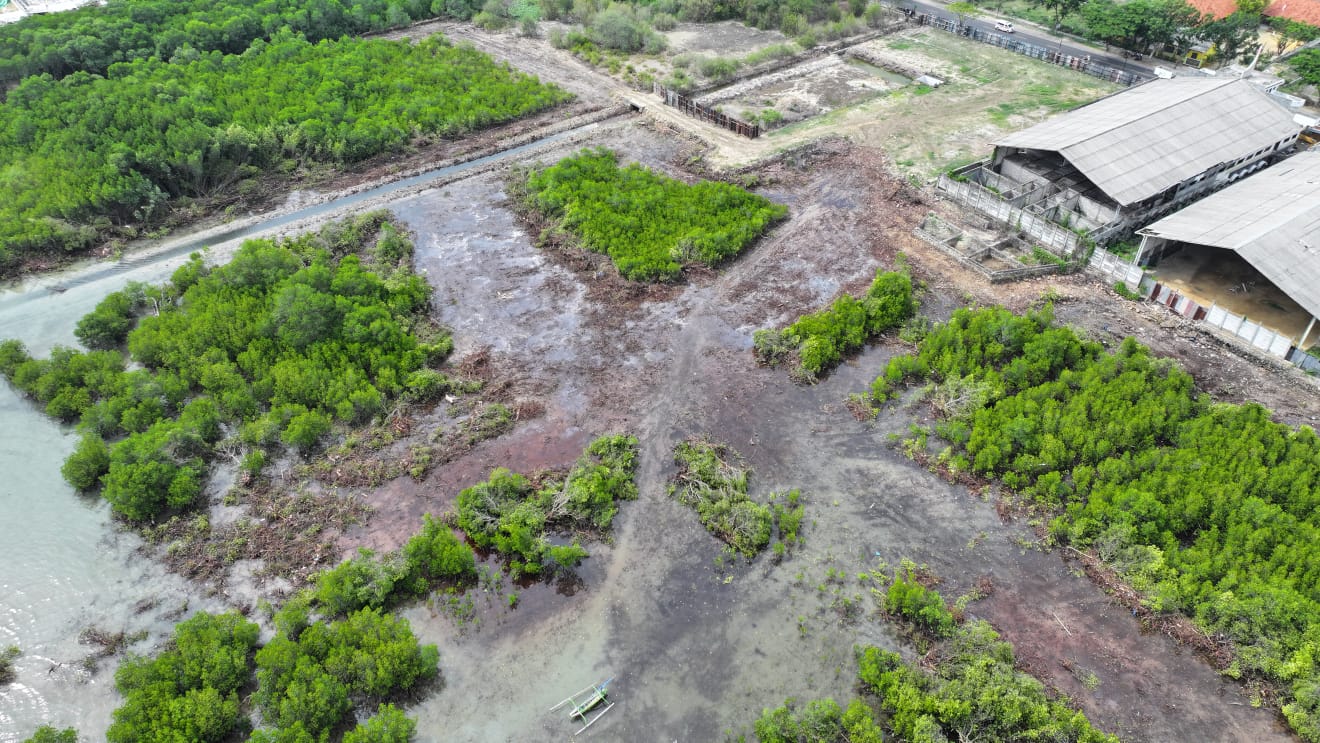 DIRUSAK: Lahan bekas pembabatan hutan mangrove di pesisir pantai Desa Ambat, Kecamatan Tlanakan, dipotret dari udara melalui drone, Senin (15/1). (POKMAS MEKAR SARI UNTUK JPRM)
