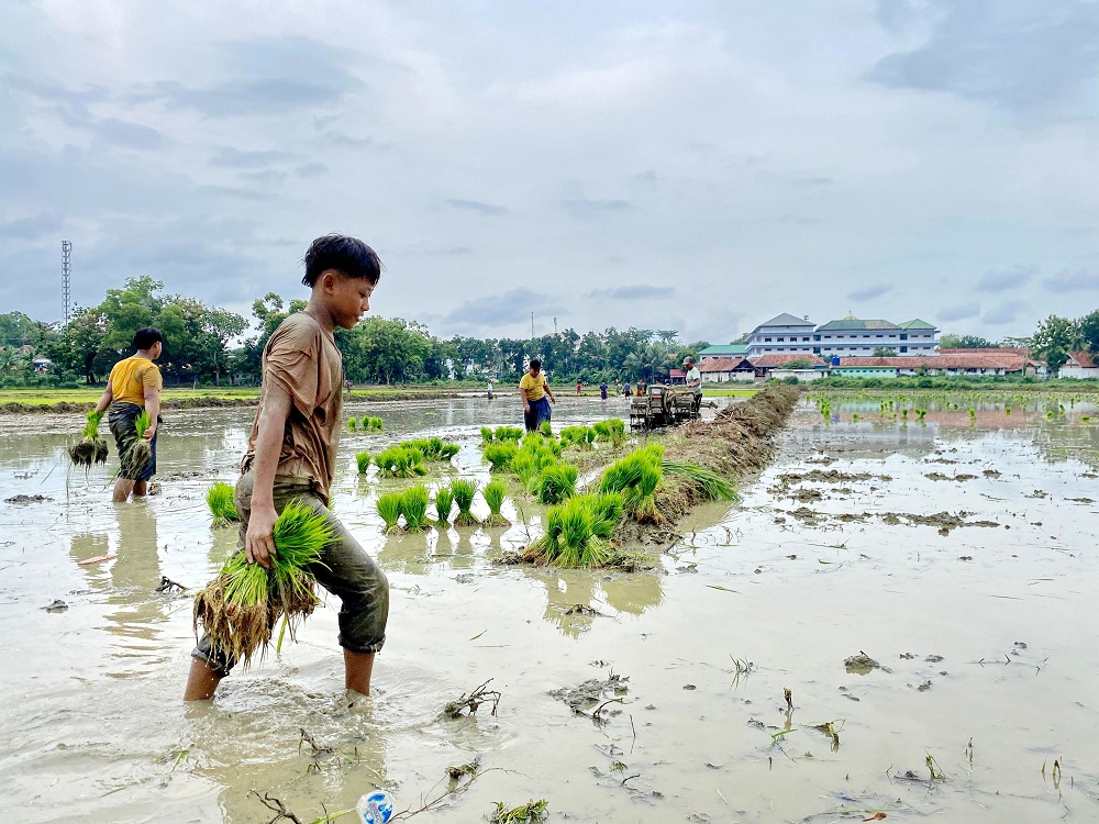 BERTANI: Petani di Desa Panyepen, Kecamatan Pamekasan, menggarap lahan sawahnya, Rabu (24/1). (MOH. JUNAIDI/JPRM)