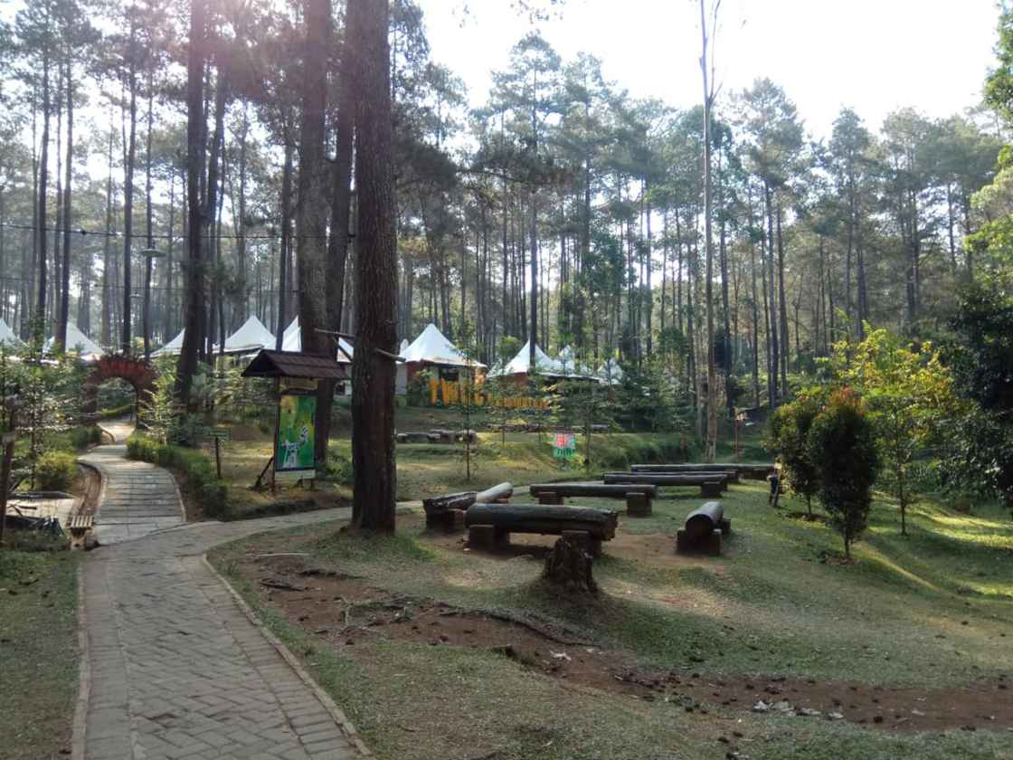 Potret Terminal Wisata Grafika Cikole