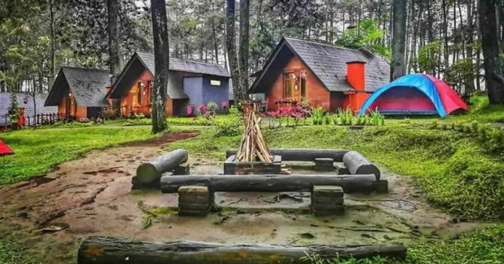 Orchid Forest Cikole dengan nuansa hutan pinusnya