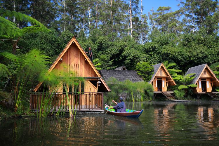 Potret indah Hutan Bambu