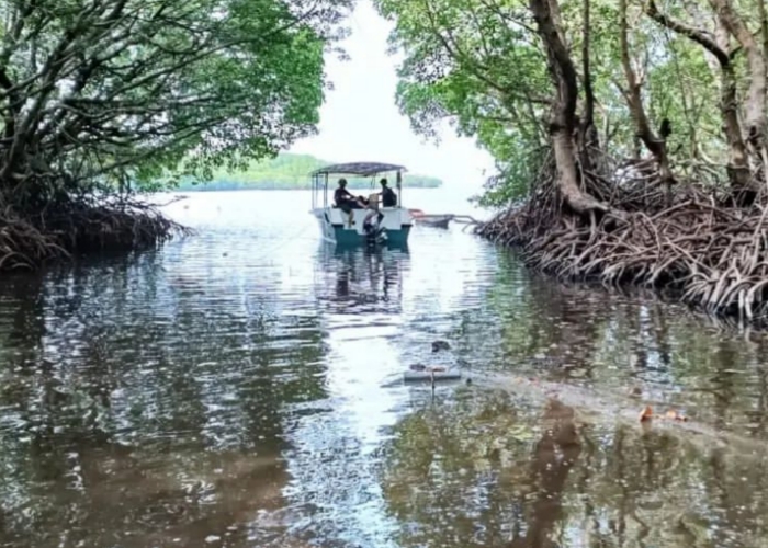 Petugas saat berpatroli di kawasan hutan Taman Nasional Baluran