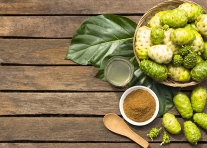 Buah mengkudu adalah buah asli Indonesia.