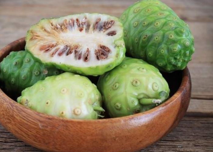 Buah mengkudu sebenarnya punya potensi di ekonomi