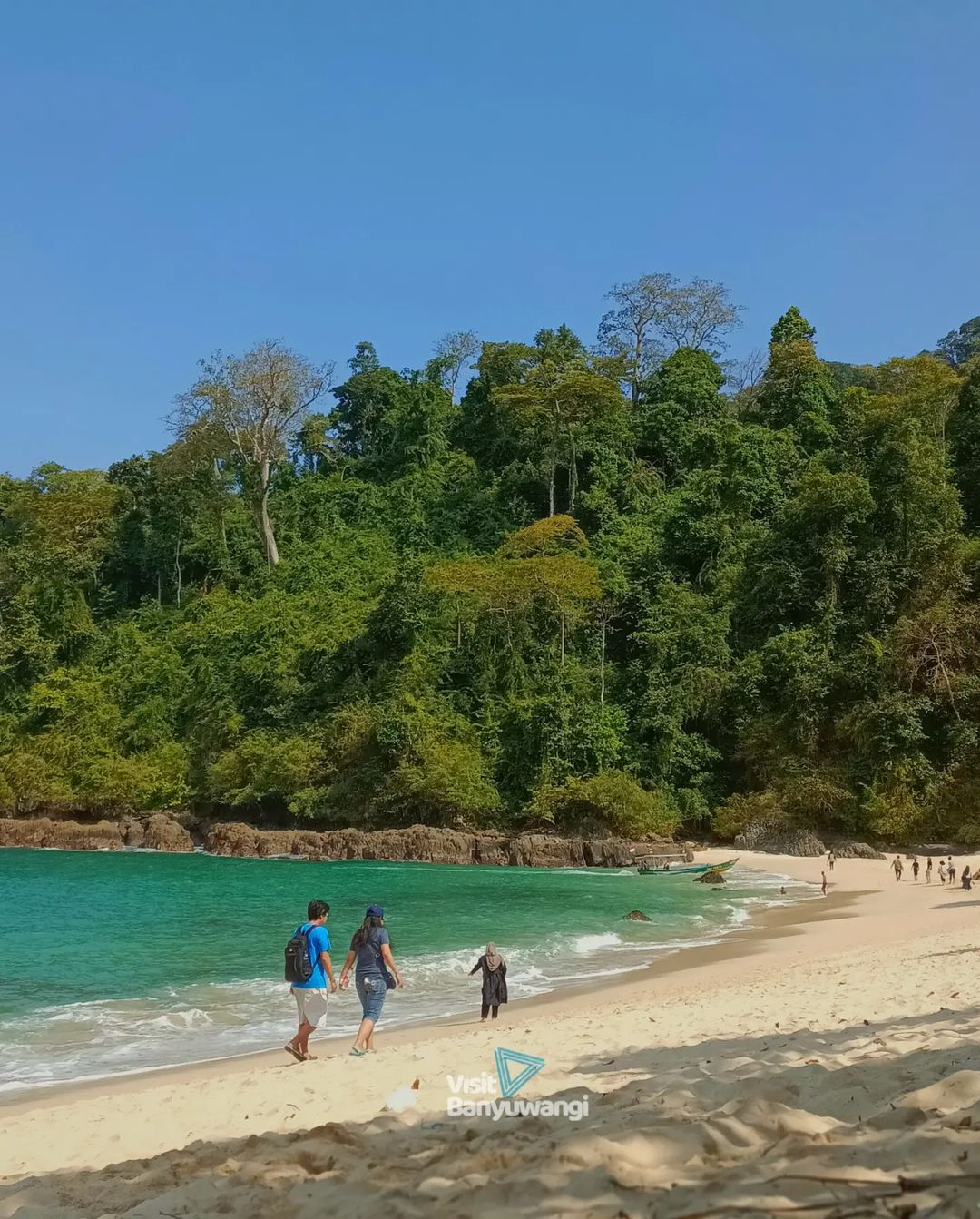 wisata alam unik Teluk Hijau Banyuwangi