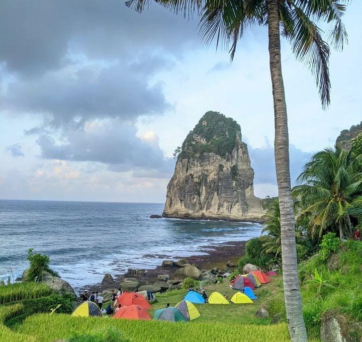 Panorama Pantai Pangasan di Pacitan dengan Sawah dan Laut Biru Serta Beberapa Tenda Wisatawan yang Sedang Melakukan Camping (instagram @pantaipangasan untuk RadarMadura.id)