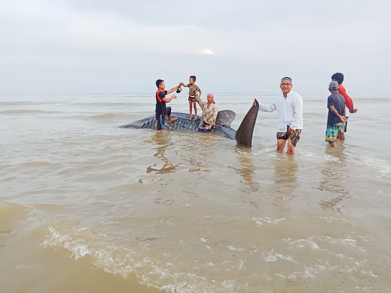 JADI TONTONAN: Warga berada di sekitar hiu tutul di pesisir pantai Dusun Bakong, Desa Batukerbuy, Kecamatan Pasean, Pamekasan, Jumat (2/2). (ASDIN UNTUK JPRM)