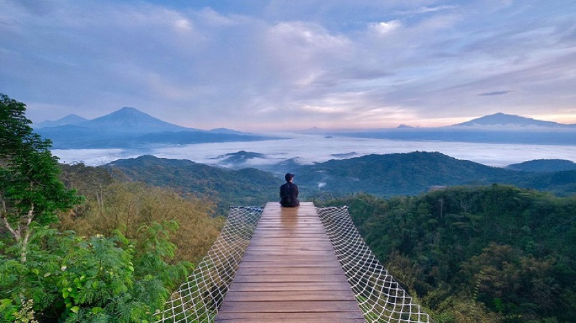 Pengunjung menikmati pemandangan di kebun teh ngelinggo