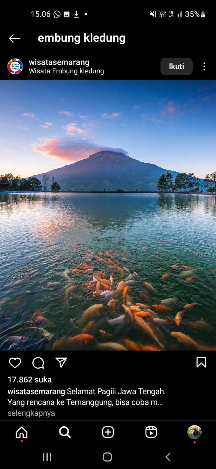 Beberapa spesies ikan berwarna yang berada diwaduk muncul kepermukaan