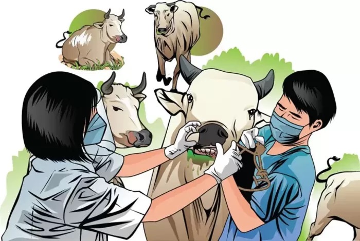 Disnak Bangkalan tidak mendapat kuota penambahan petugas paramedis atau nonparamedis karena ketersediaan SDM diklaim masih cukup. (Ilustrasi: Radar Kudus)