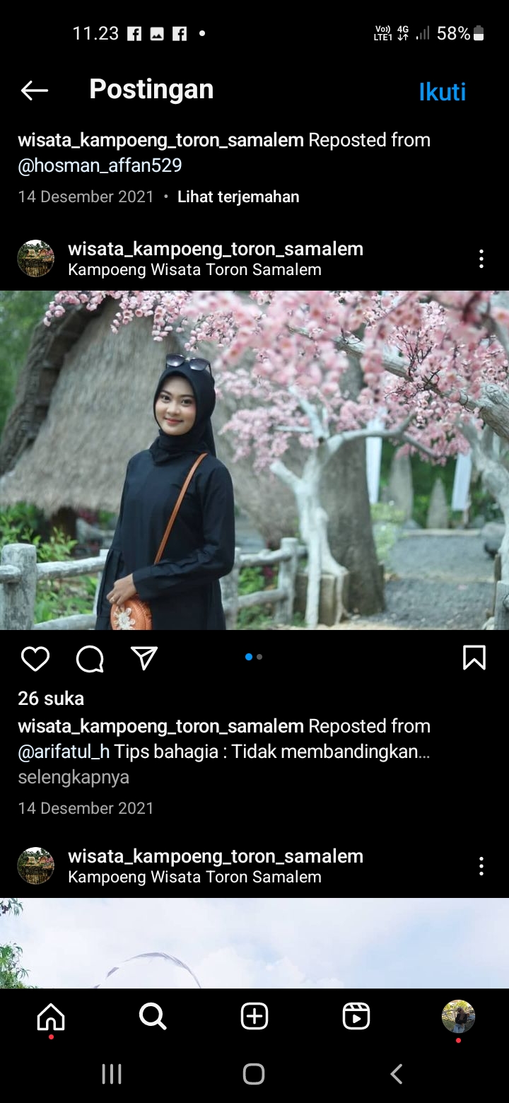 Pohon bunga sakura palsu di wisata Kampoeng Toron Samalem