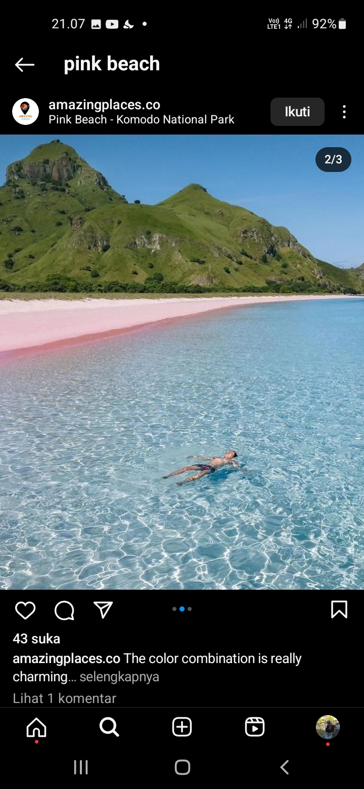 Pasir Merah Muda dan Keindahan Bawah Laut di Pink Beach Labuan Bajo
