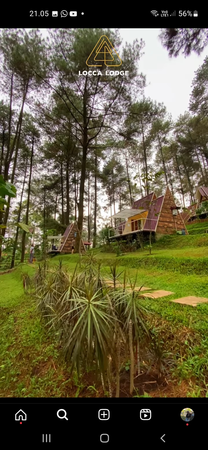 Suasana Alam yang Asri di Locca Lodge Trawas, Mojokerto