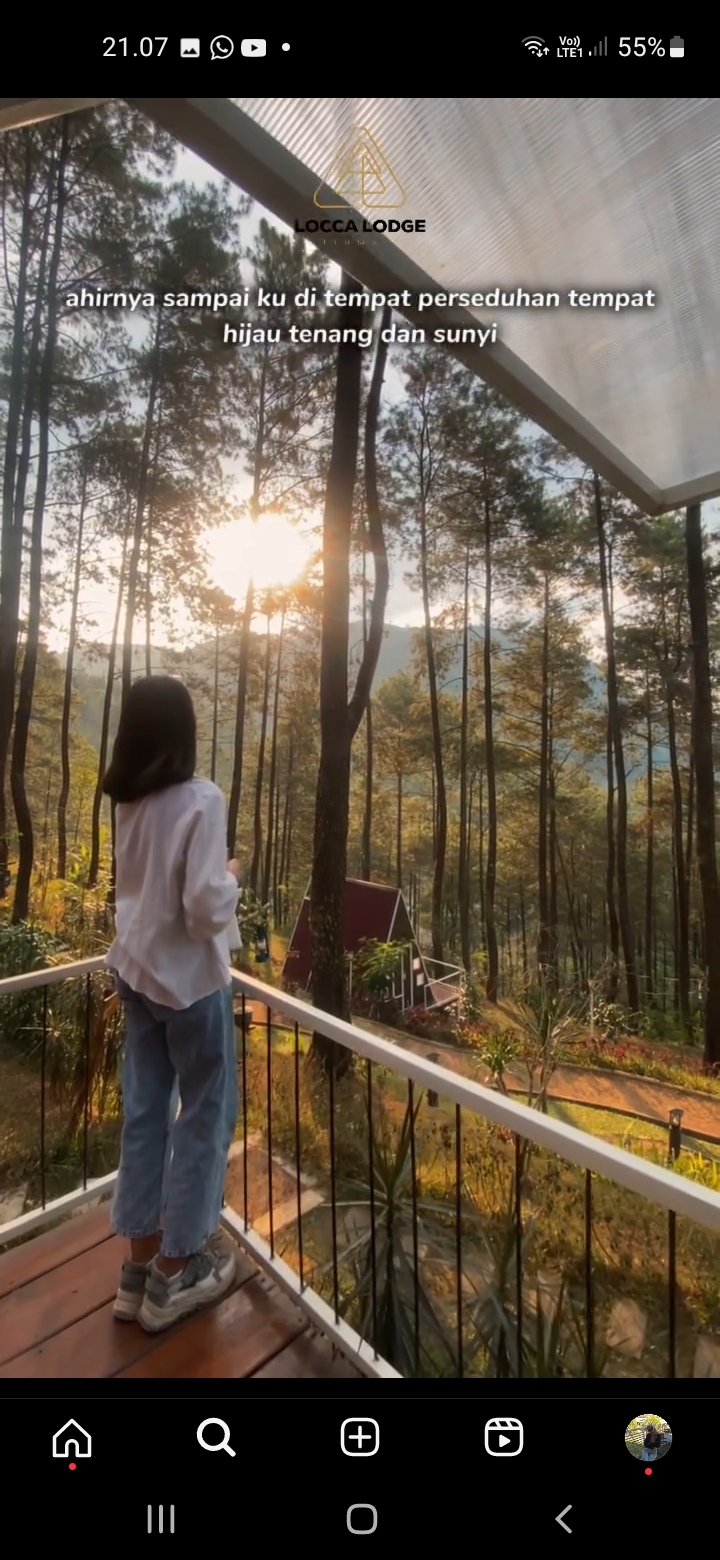 Locca Lodge Trawas, Glamping Mewah dengan Fasilitas Lengkap di Hutan Pinus Mojokerto