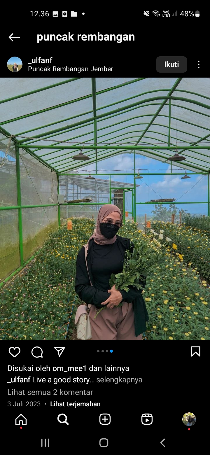 Petik Bunga di Puncak Rembangan, Jember