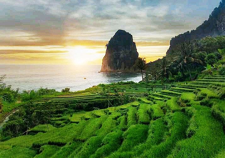 View Pacitan Camping Paradise yang romatis