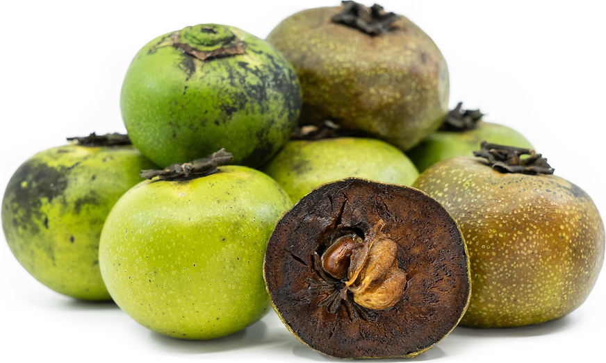 Buah black sapote kaya akan manfaat vitamin dan nutrisi