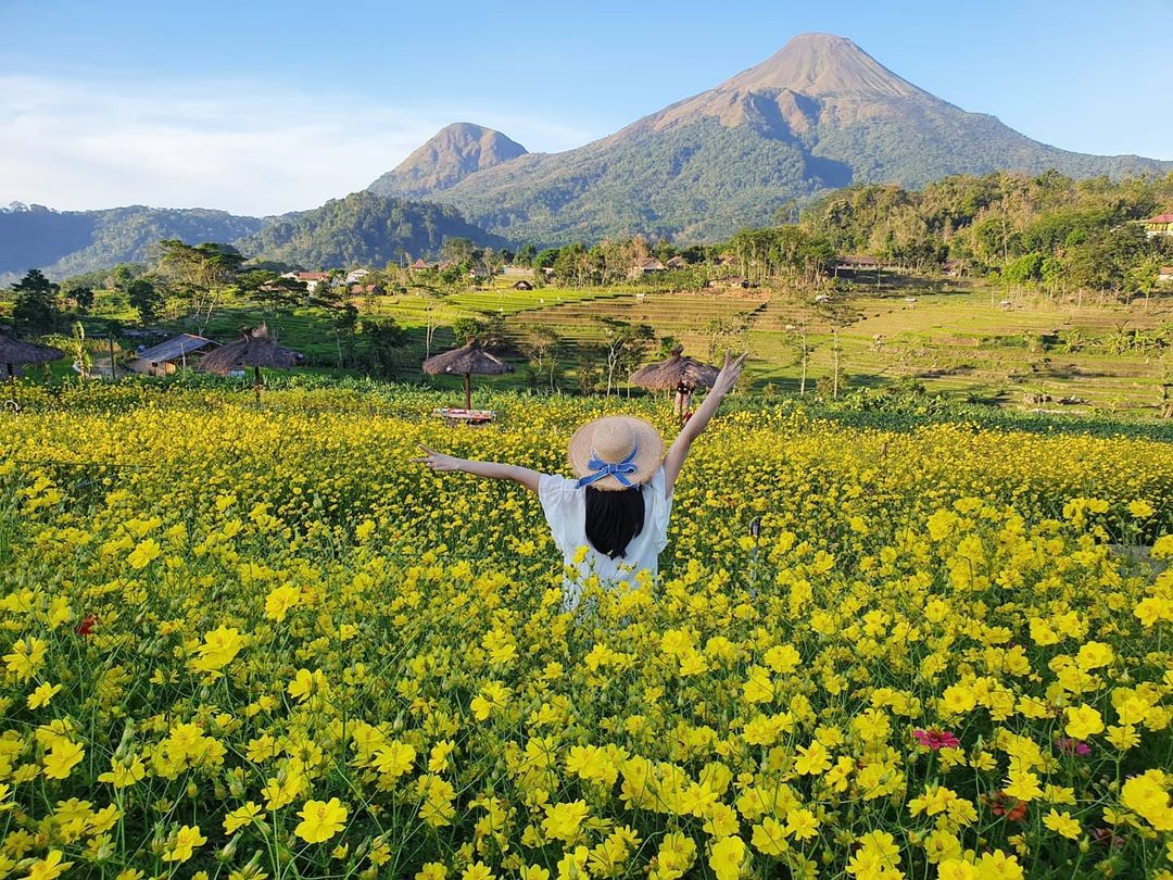 Indahnya pemdangan di Kampung Organik Brenjonk Mojokerto