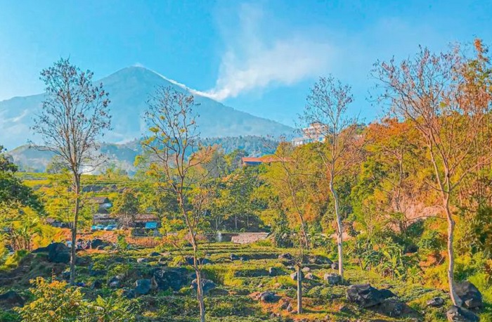 Wisata Gubuk Marawati, Camping Ground Viral di Mojokerto