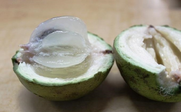 Kenitu, buah manis yang cocok untuk pengidap penyakit diabetes dan bisa digunakan untuk diet