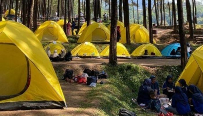 Potret Alas Venus, Salah Satu Wisata Trawas Mojokerto yang Ramai Pengunjung.